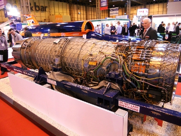28_bloodhound2-2